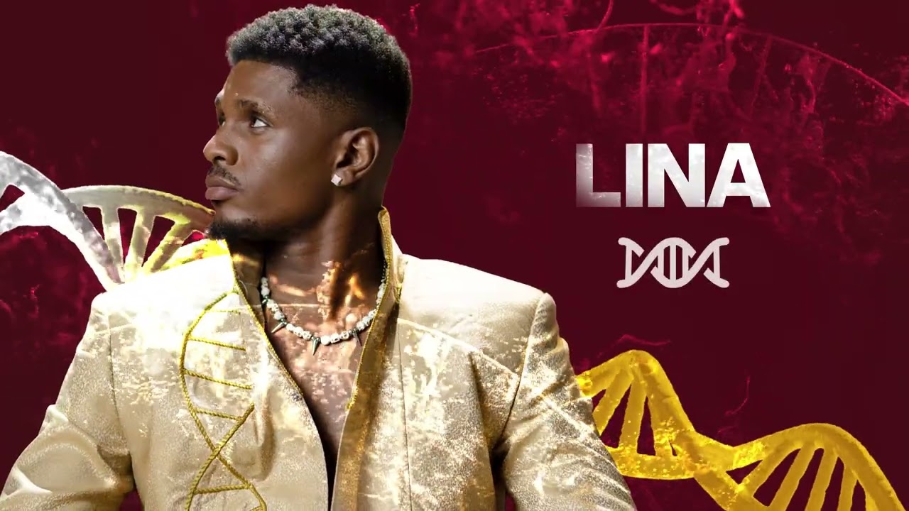 GALLY - LINA (VISUALIZER VIDEO) cover art