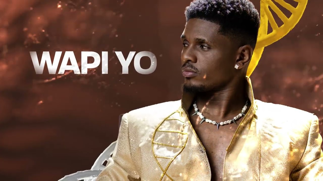 GALLY - WAPI YO (VISUALIZER VIDEO) cover art