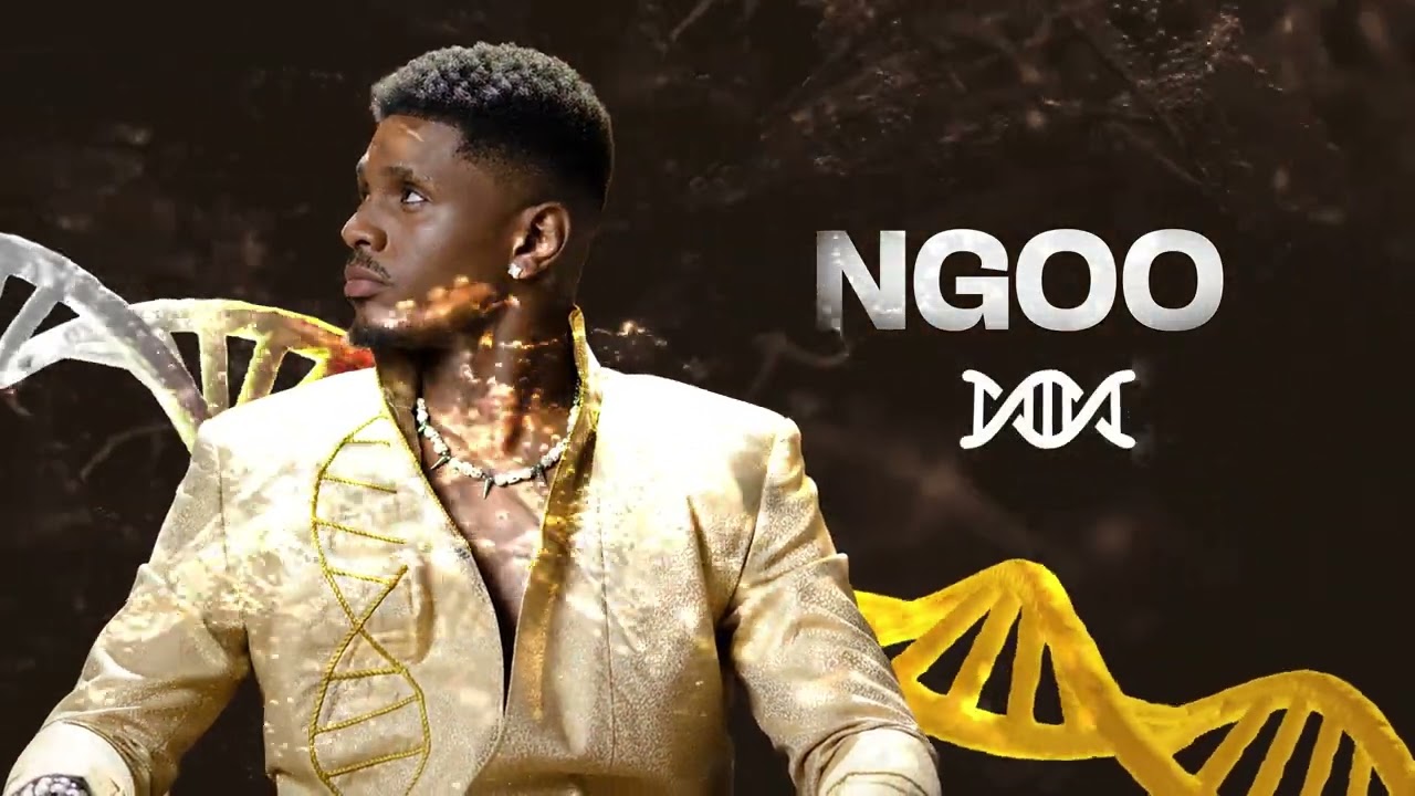GALLY - NGOO (VISUALIZER VIDEO) cover art