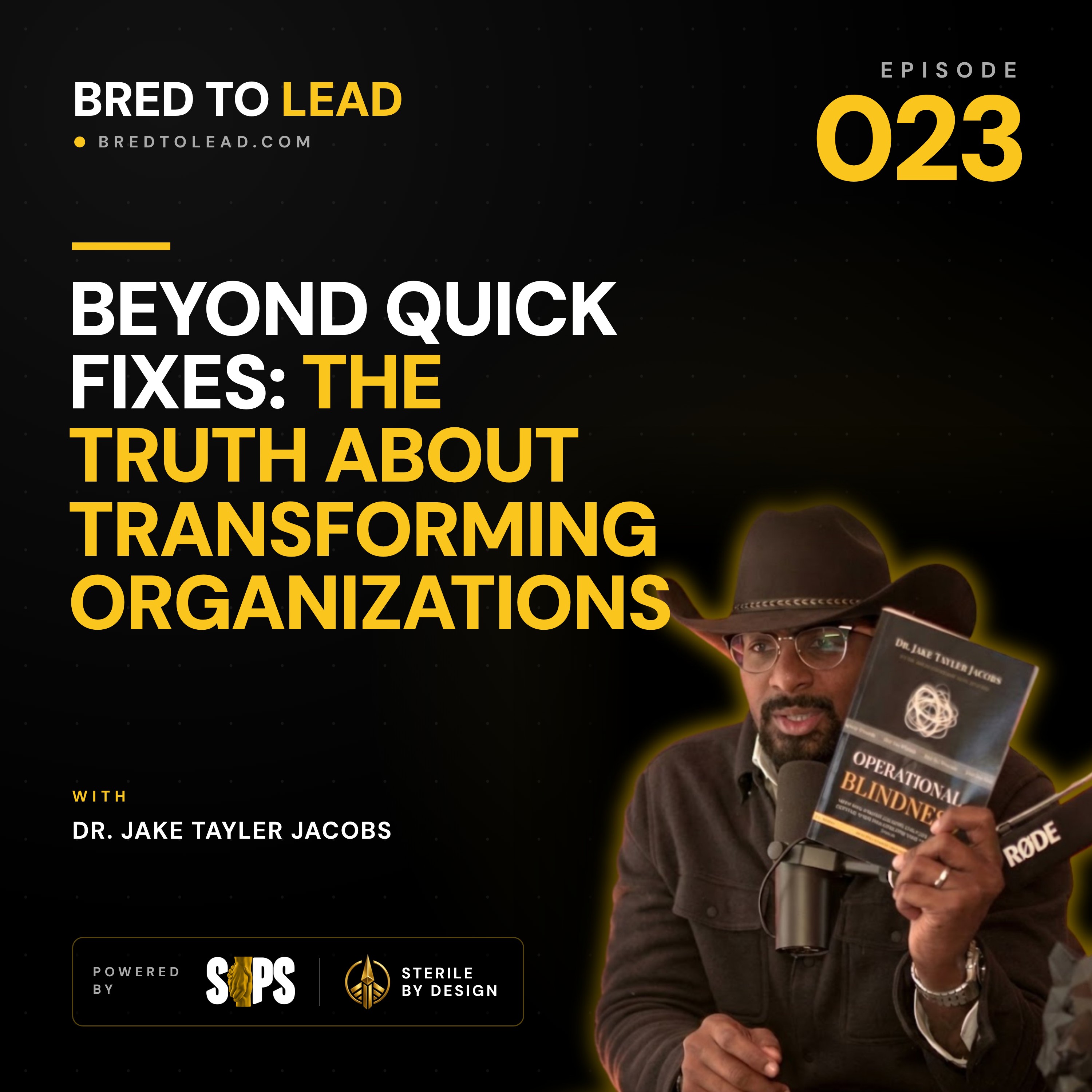 Ep. 023: Beyond Quick Fixes: The Truth About Transforming Organizations