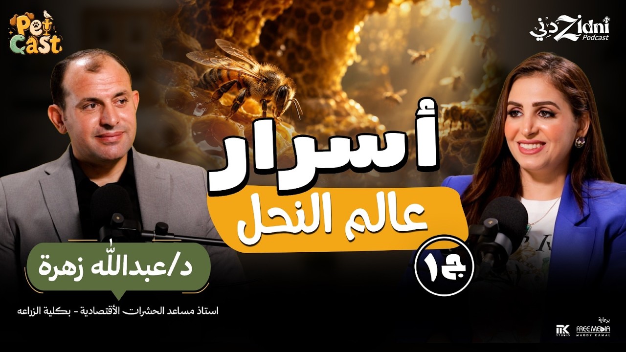 أسرار عالم النحل.. إعجاز في الخلق وحياة لا تصدق! | بيت كاست cover art