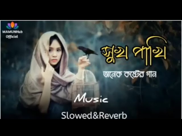সুখ পাখি তোর প্রেমে মন মজাইয়া আমি সুখ পাখি IMG_.jpgMusic cover art