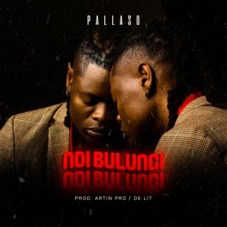 Ndi Bulungi cover art