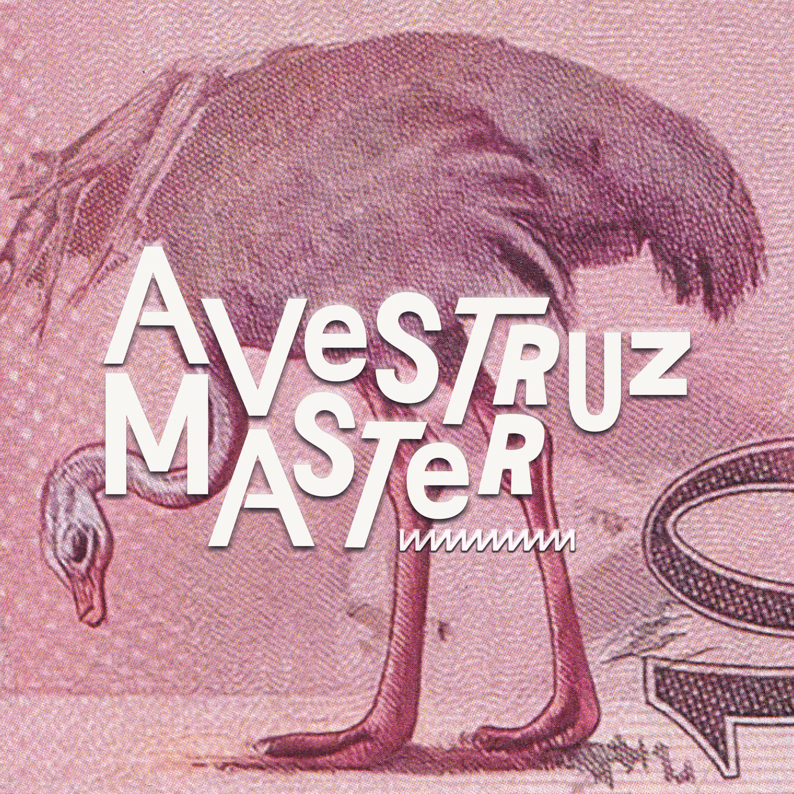 3. No rastro do avestruz