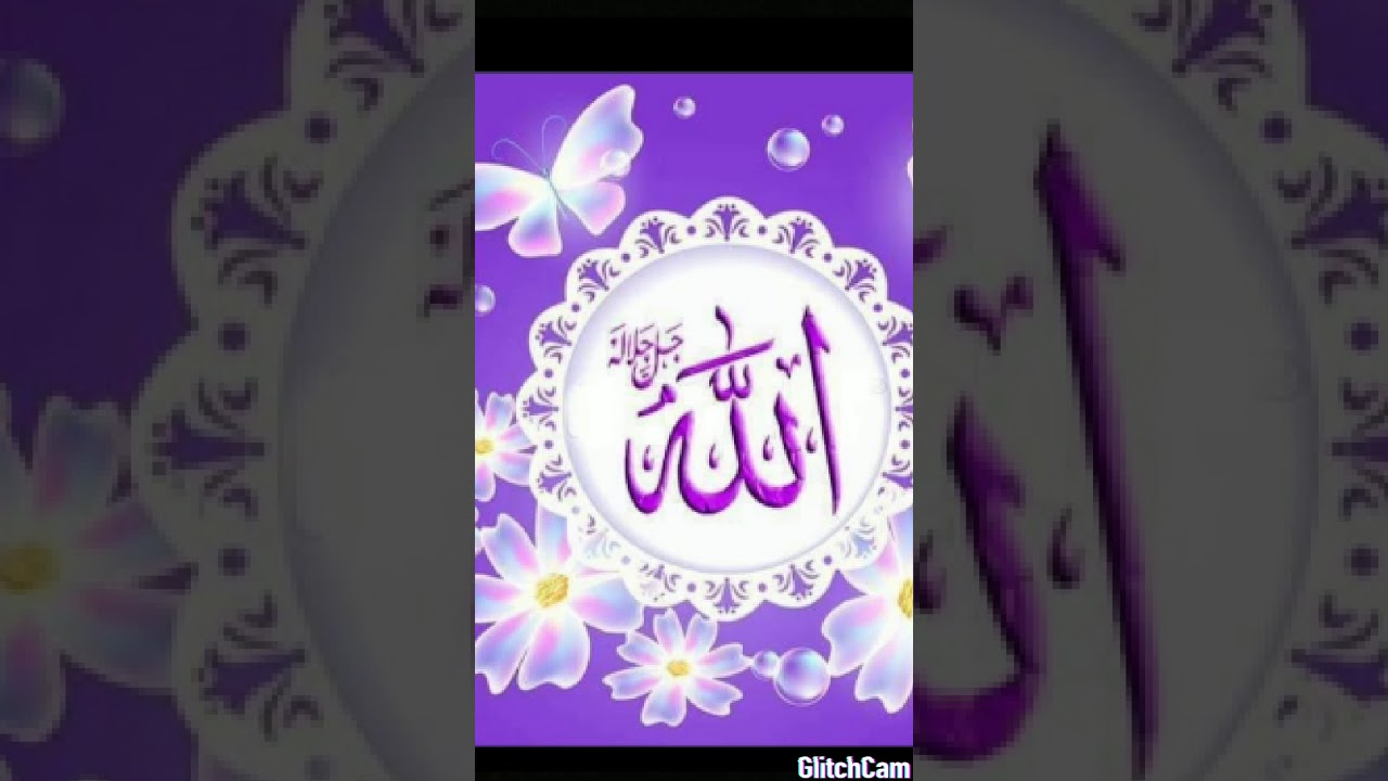 تفسير سوره البقره من ٣ل٦ cover art
