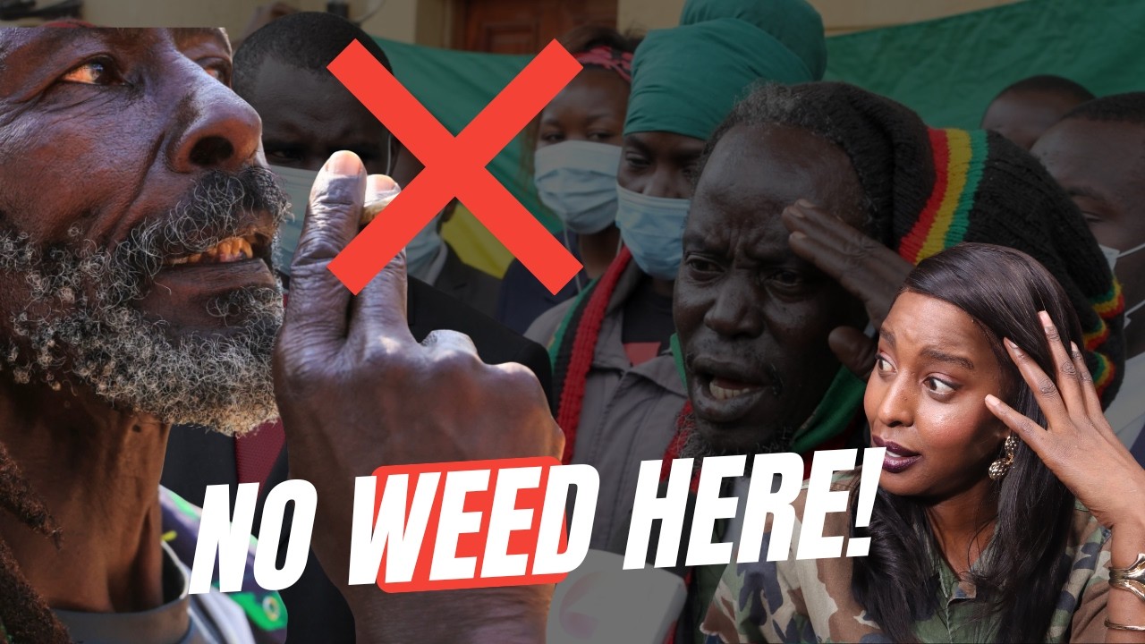 The "High" Commission:The Fight for Legalization hits a dead end. cover art