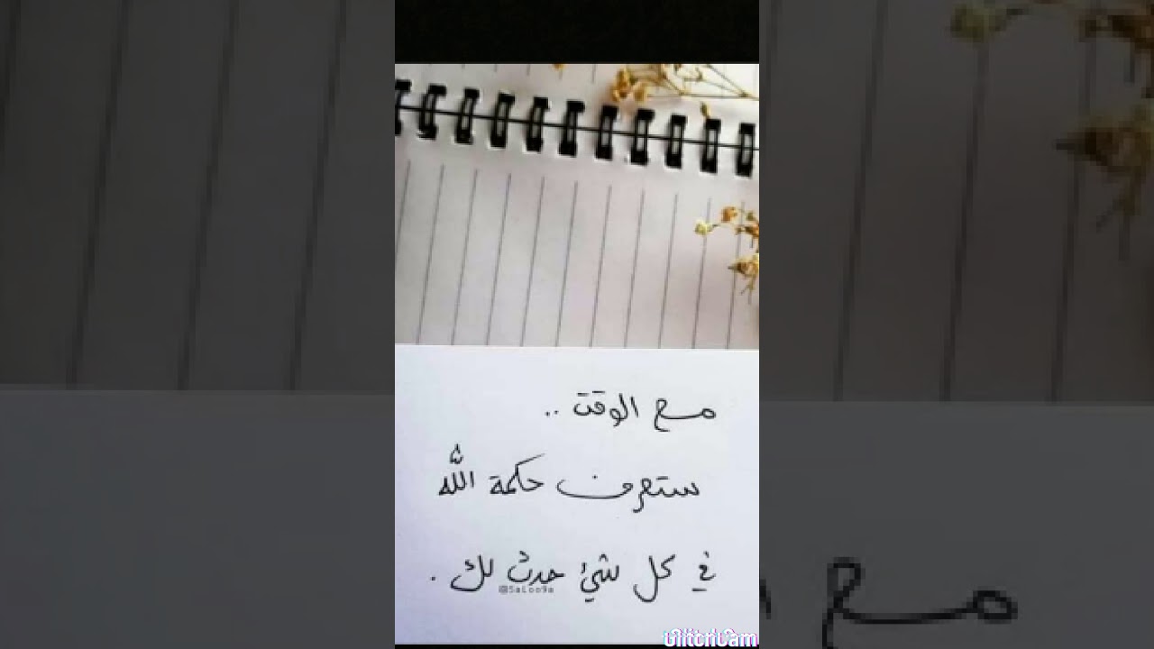 تفسير سوره البقره من ٩ل١٢ cover art