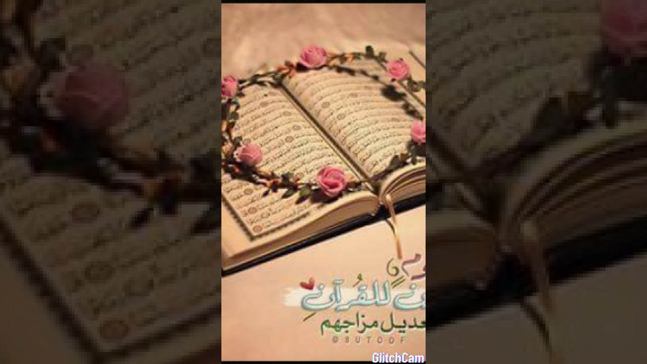 تفسير سوره البقره من ٦ل٩ cover art