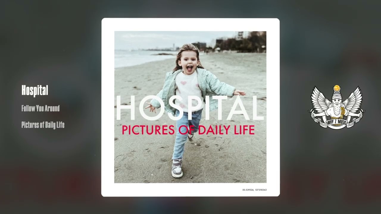 Hospital - Follow You Around cover art