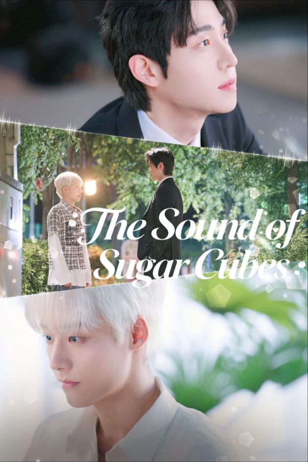 Poster The Sound of Sugar Cubes