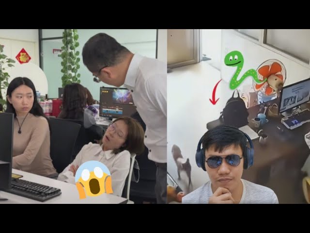 Tidur di Kantor? Dia Pura-Pura Punya Ide… Sementara Kucing Bawa ULAR!! 😂😱 cover art
