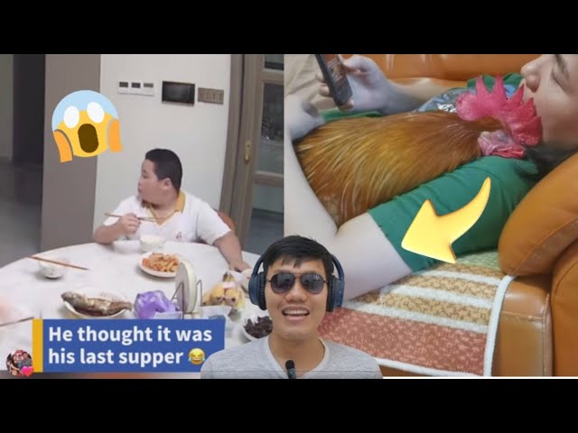 Gempa Datang, Bocah Malah Makan Terus — Tante Tidur Bareng Ayam?! 😂😱 cover art