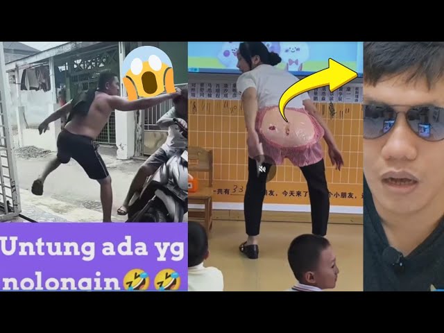 Misi rahasia kucing gagal total gara-gara anjing iseng 😹🐶 cover art