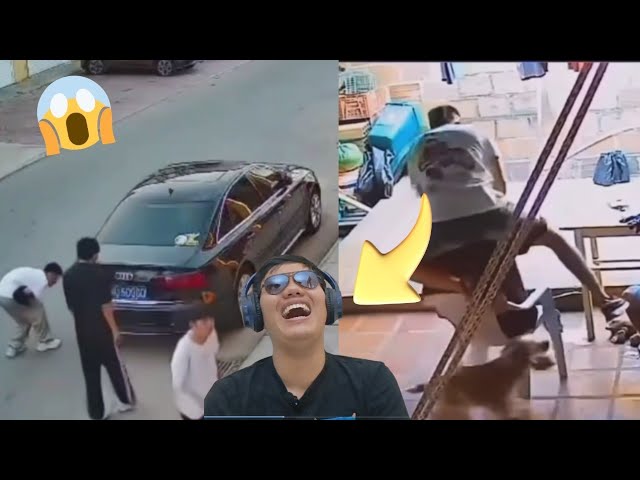 Dari Nabrak Mobil Sampai Dikejar Anjing — Dua Momen Ini Bikin Gue Gak Tau Mau Ketawa atau Salut 😭😂 cover art