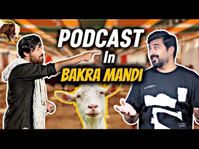 Bakra Mandi main Tamasha lag gia | Eid Special💗 cover art
