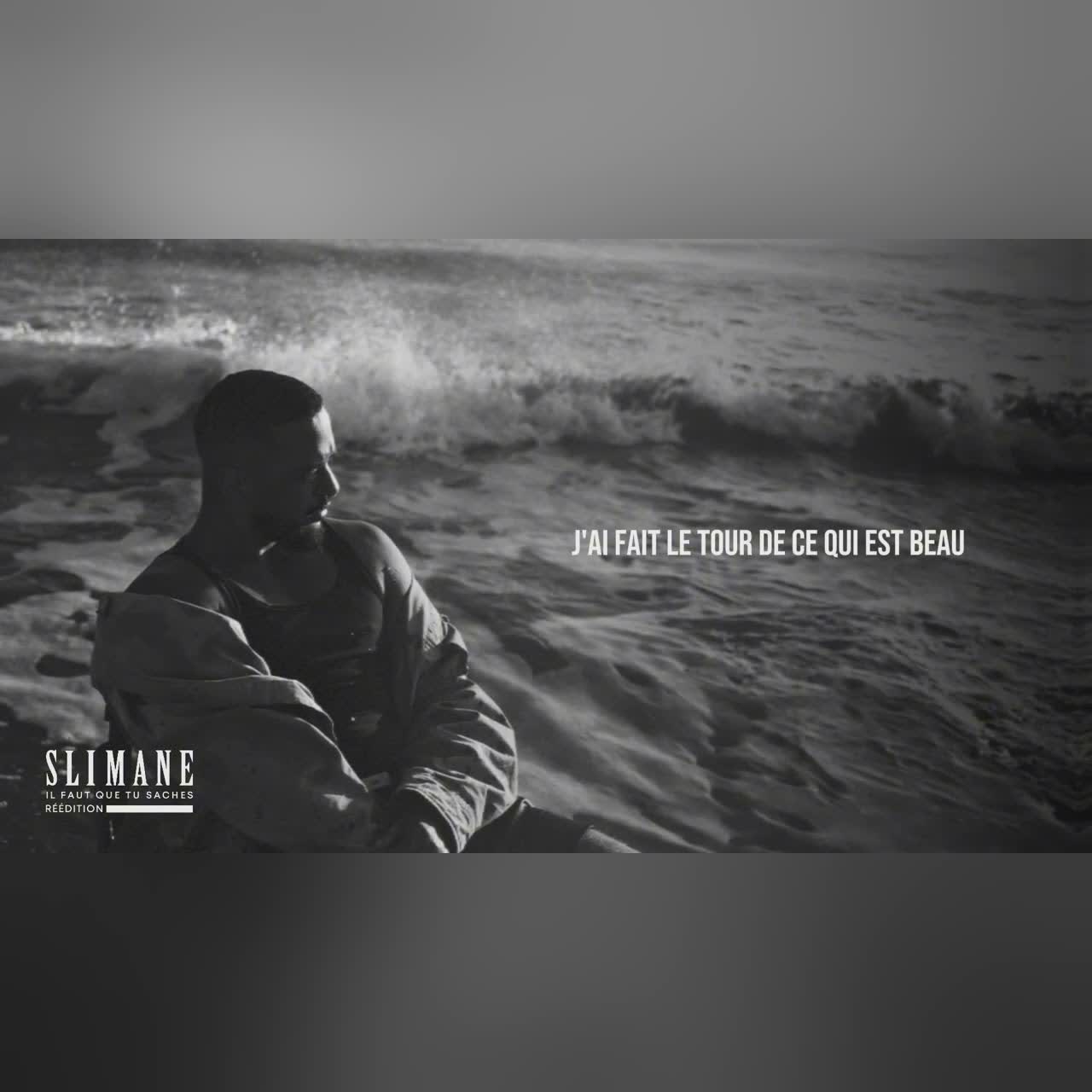 Slimane, Lara Fabian "La Chanson" (Audio Officiel) cover art