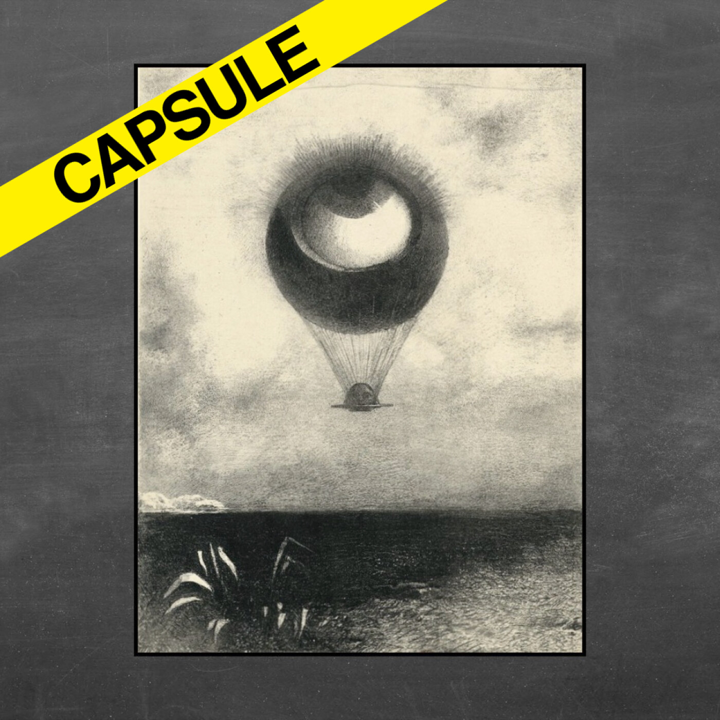 [CAPSULE] 💡 La nature a-t-elle un but ? cover art