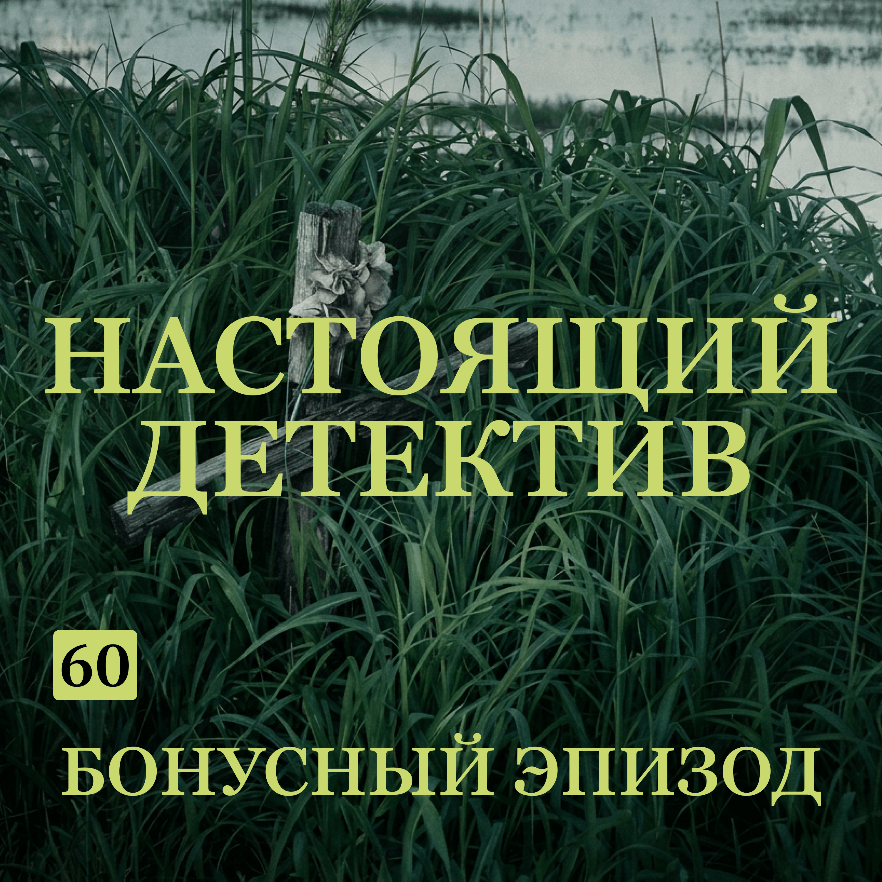 Трейлер выпуска B-60: Настоящий детектив