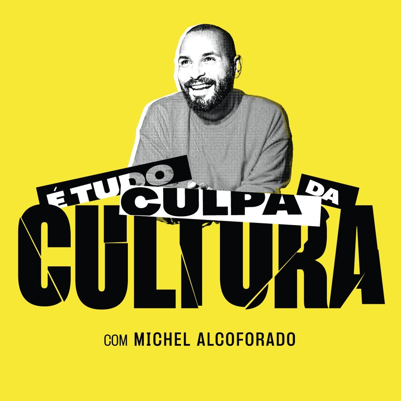 É tudo culpa da cultura cover art
