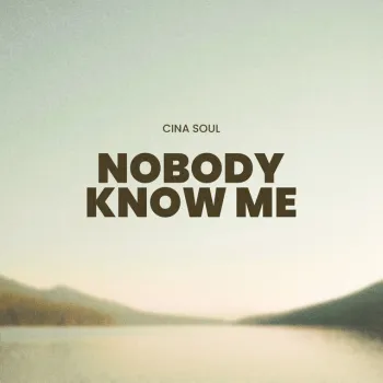 Nobody Know Me cover art