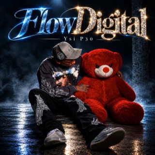 Flow Digital cover art