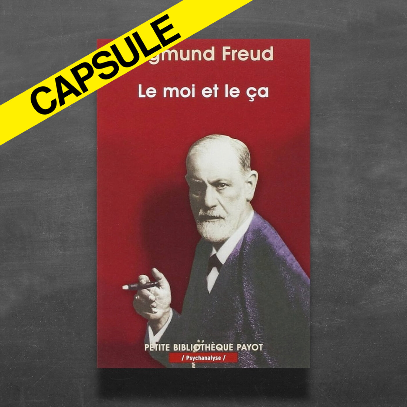 [CAPSULE] 💡 Freud : "Nous sommes tous des hors-la-loi" cover art