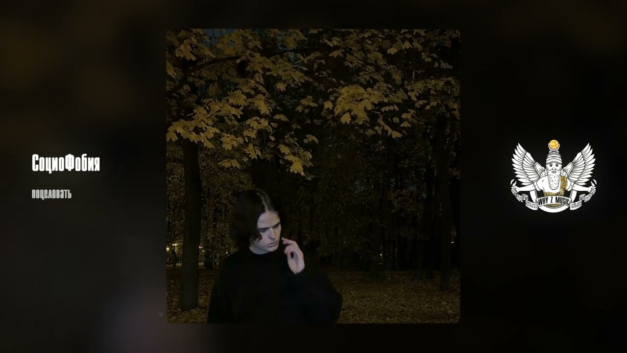 СоциоФобия - поцеловать cover art