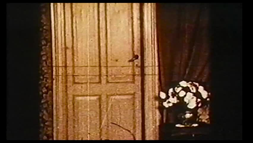 History of the Erotic Cinema